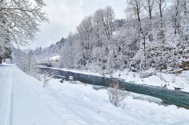 Kış Ladin ormanı geniş dolambaçlı yol.