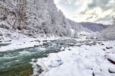 Kış Ladin ormanı geniş dolambaçlı yol.