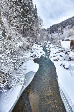 Kış Ladin ormanı geniş dolambaçlı yol.