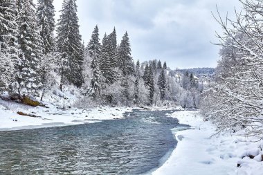 Kış Ladin ormanı geniş dolambaçlı yol.