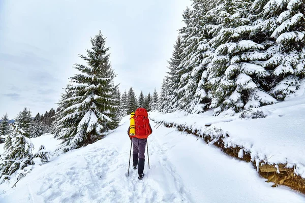 Muž turistiky na západu slunce hor s těžkým batohem. — Stock fotografie