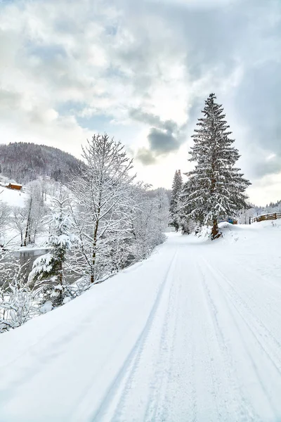 Amplio camino sinuoso a través del bosque de abeto de invierno . — Foto de Stock