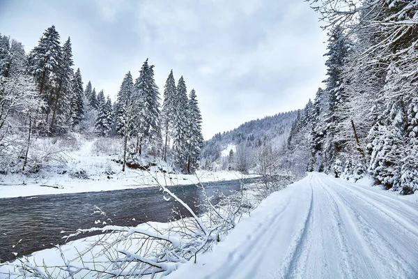 Amplio camino sinuoso a través del bosque de abeto de invierno . — Foto de Stock