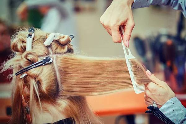 Средняя часть мужского парикмахера сушит волосы подростка клиента в — стоковое фото