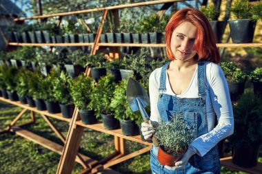 Bahçe işleri, baharda bahçeye fidanlar ekmek..