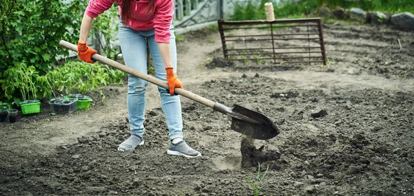 Chica Cava Suelo Con Una Pala Patio Trasero — Foto de Stock