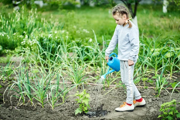 Kind Meisje Water Geven Bloemen Tuin Uit Blik — Stockfoto