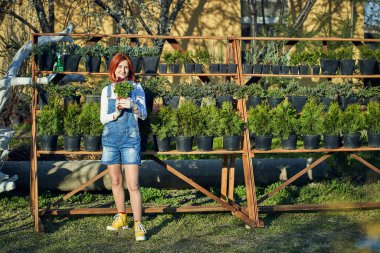 Bahçe işleri, baharda bahçeye fidanlar ekmek..