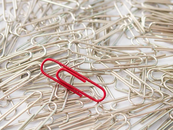 Red paper clip stand different from the crowd on white background