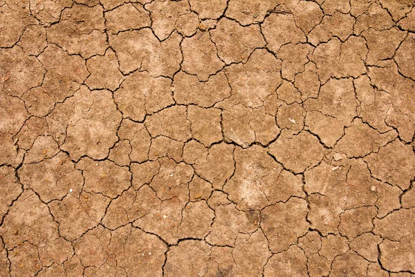 Cracked dry brown soil background, global warming effect — Stock Photo, Image