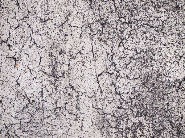Crack grunge branco concreto textrue fundo — Fotografia de Stock