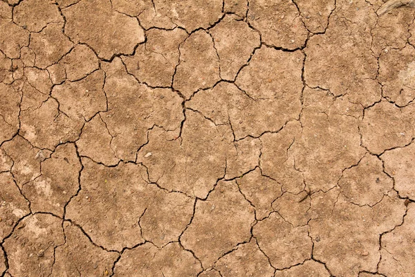 Fondo de suelo marrón seco agrietado, efecto de calentamiento global —  Fotos de Stock