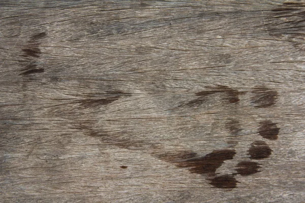 Wet foot print on brown wooden background