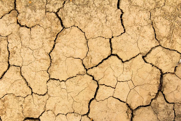Kuru kahverengi toprak arka plan, küresel ısınma etkisi kırık