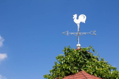 White rooster weather vane show the wind direction on blue sky background clipart