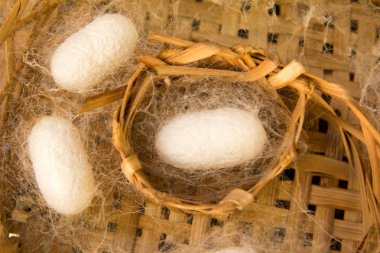 Beyaz ipekböceği koza sahnede örgü el sanatları