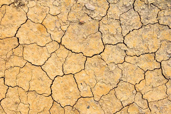 Repedt száraz barna erdőtalajok háttér, a globális felmelegedés hatása — Stock Fotó