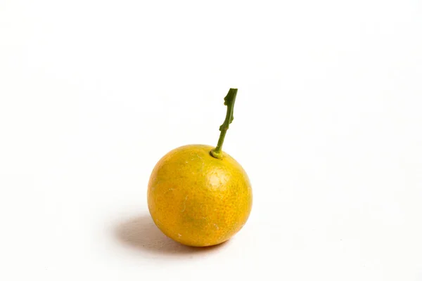 Cerrado de naranja kumquat que se coloca sobre fondo blanco — Foto de Stock