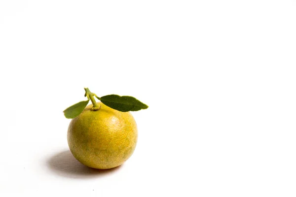 Fechado de laranja kumquat que colocado sobre fundo branco — Fotografia de Stock