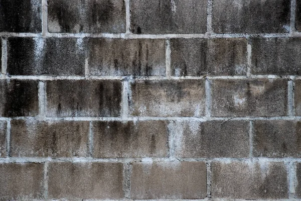 Mancha negra sobre fondo de pared de hormigón de ladrillo blanco — Foto de Stock