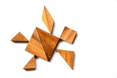 Beyaz arka plan üzerinde kaplumbağa şekil Yüzme bulmaca ahşap tangram