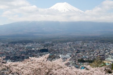 Fuji Dağı Japonya olarak sakura çiçeği ile arka plan ve ön plan olarak şehir