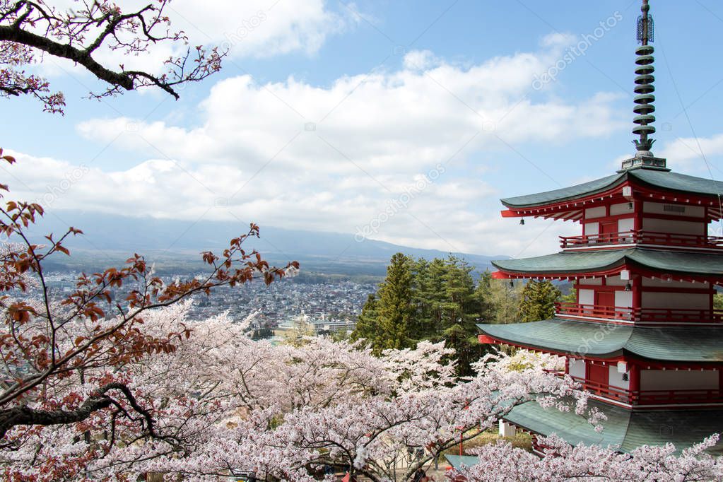 Chureito pagoda and cherry blossom as foreground and mount fuji as background, travel destination in japan 
