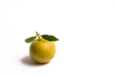 Beyaz arka plan üzerine yerleştirilen Kamkat Orange kapandı