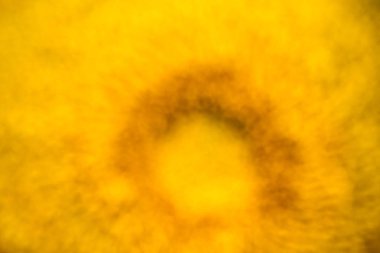 Sarı arka plan (ayçiçeği, kapalı gelen odak)