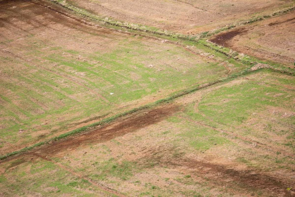 Arka plan hasat sonra pirinç alanının yüksek açılı görünüş
