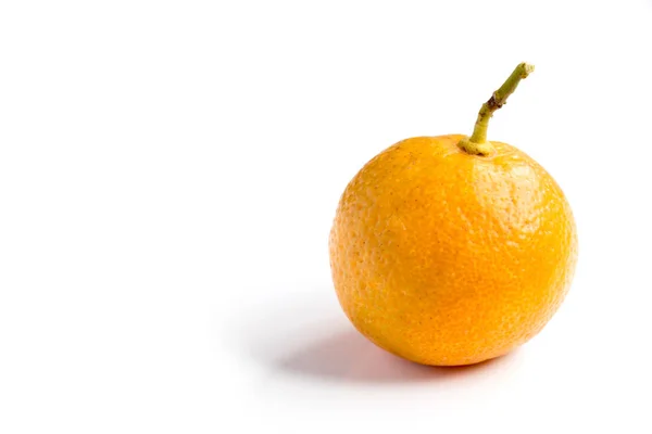 Couleur orange de Kumquat sur fond blanc — Photo