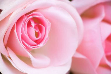 Kumaştan yapılmış yapay pembe Gül kapalı