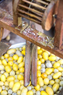 İpek makaralama için vintage yöntemi ve sıcak su arka planda sarı ve beyaz koza kapandı