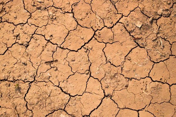 Popraskané suché hnědé půdních texturou pozadí — Stock fotografie