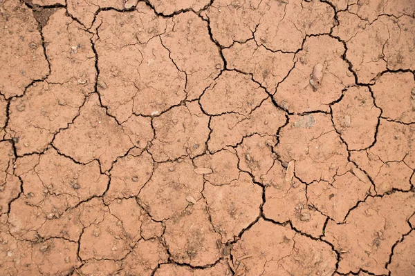 Popraskané suché hnědé půdních texturou pozadí — Stock fotografie