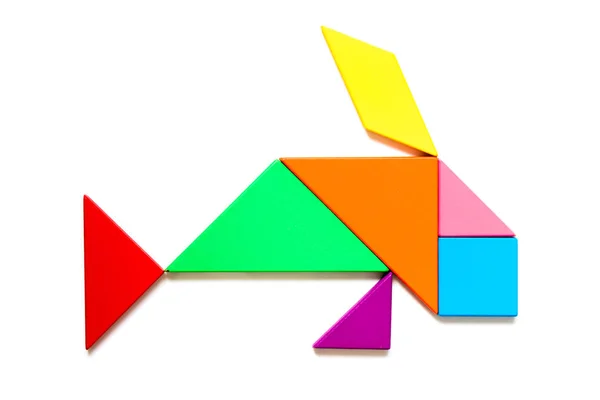 Χρώμα ξύλου tangram παζλ στην κολύμβηση ψάρια σχήμα σε λευκό φόντο — Φωτογραφία Αρχείου