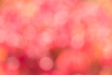 Kutlama veya festivalde süsleme için kırmızı veya pembe bokeh arkaplan