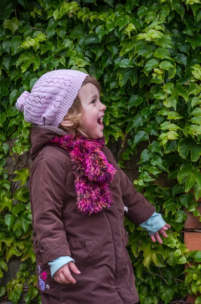 Sevimli küçük kız çocuğu ile yabani üzüm güneşli bir duvarının yakınında oynama ve keyfi mutluluk sonbahar günü ayakta