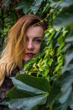 Uzun saç ayakta yabani üzüm ile duvarın yanında genç kızla güneşli sonbahar günü bırakır