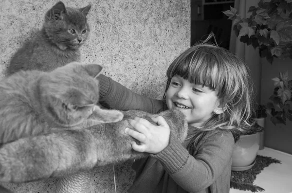 Una niña encantadora está jugando con dos gatitos esponjosos — Foto de Stock