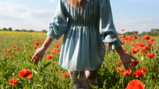 Jeune belle fille aux cheveux longs marche le champ de pavot sur une journée d'été ensoleillée — Video