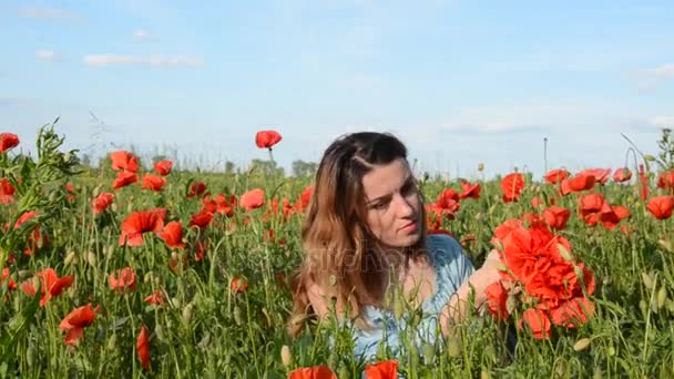 Joven hermosa chica teje un ramo de amapolas con un campo de amapola en un día soleado de verano — Vídeo de stock