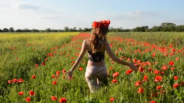 Молодая красивая девушка с длинными волосами гуляет по маковому полю в солнечный летний день — стоковое видео