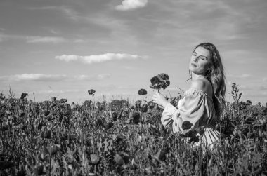 Uzun saçlı genç çekici kız bir parlak güneşli yaz gününde haşhaş alanına yürüyor ve bir buket çiçek haşhaş yapar