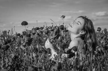 Uzun saçlı genç çekici kız bir parlak güneşli yaz gününde haşhaş alanına yürüyor ve bir buket çiçek haşhaş yapar