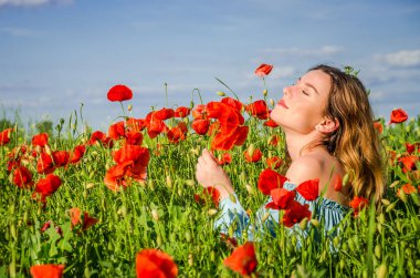 Uzun saçlı genç çekici kız bir parlak güneşli yaz gününde haşhaş alanına yürüyor ve bir buket çiçek haşhaş yapar