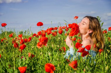 Uzun saçlı genç çekici kız bir parlak güneşli yaz gününde haşhaş alanına yürüyor ve bir buket çiçek haşhaş yapar