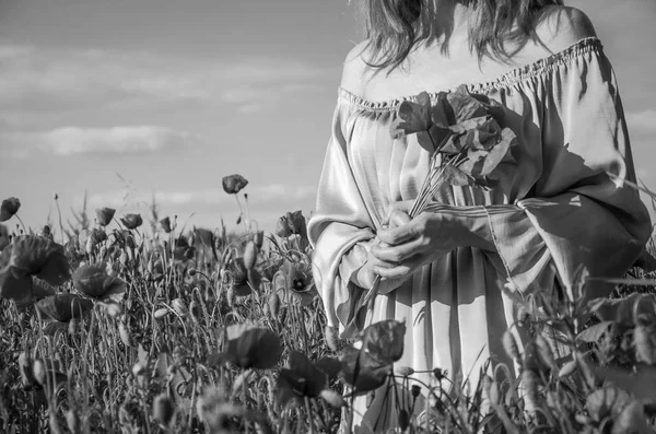 Una giovane ragazza affascinante con lunghi capelli cammina in una luminosa giornata estiva soleggiata in un campo di papaveri e fa un mazzo di fiori di papavero — Foto Stock