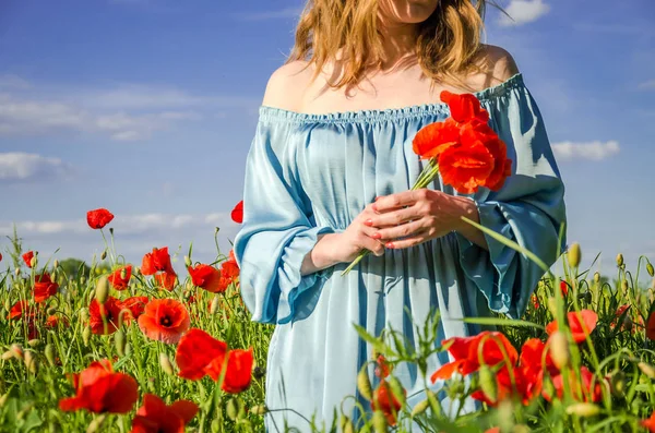 Uzun saçlı genç çekici kız bir parlak güneşli yaz gününde haşhaş alanına yürüyor ve bir buket çiçek haşhaş yapar