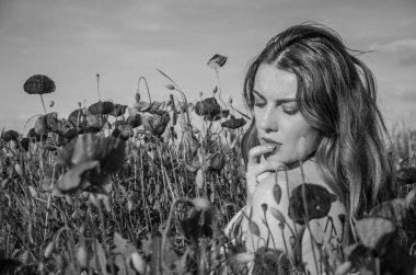 Genç, neşeli ve güzel bir kız bir parlak, sıcak, güneşli yaz günü arasında kırmızı çiçek haşhaş haşhaş bir çayır içeri girer